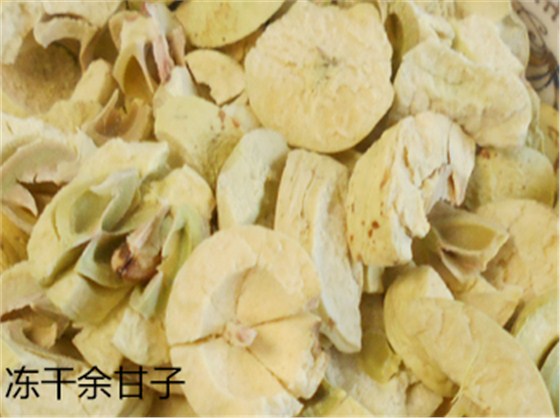 余甘子細(xì)節(jié)比對(duì)1