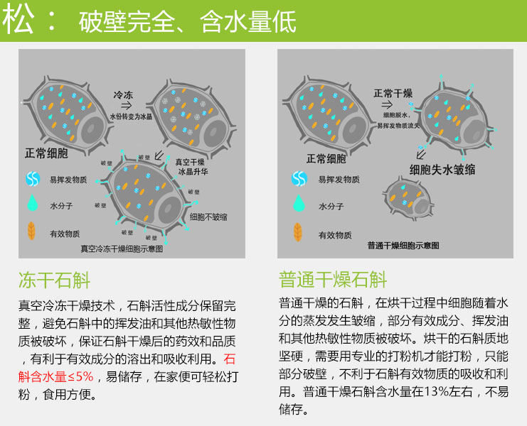 石斛凍干破壁