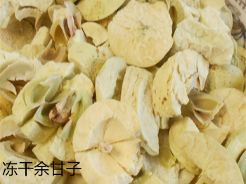 余甘子細(xì)節(jié)比對1