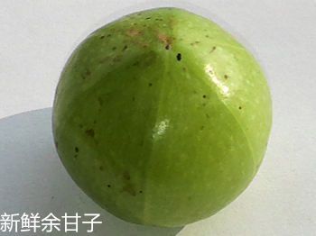 余甘子細(xì)節(jié)比對4